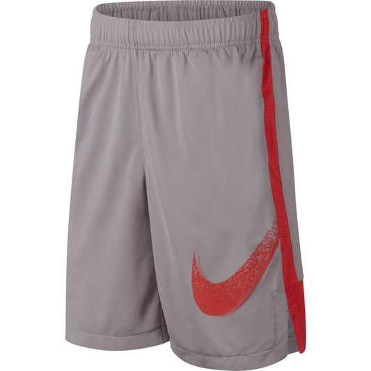 Kids Nike Dri-FIT Dominate Shorts